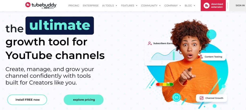 TubeBuddy’s video SEO optimization interface.